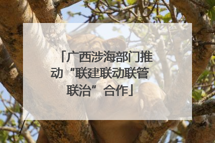 广西涉海部门推动“联建联动联管联治”合作