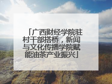 广西财经学院驻村干部搭桥，新闻与文化传播学院赋能油茶产业振兴