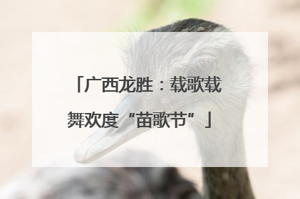 广西龙胜：载歌载舞欢度“苗歌节”
