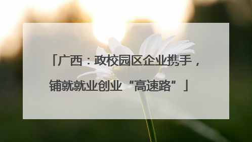 广西：政校园区企业携手，铺就就业创业“高速路”