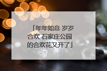 年年如意 岁岁合欢 石家庄公园的合欢花又开了