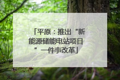 平原：推出“新能源储能电站项目”一件事改革