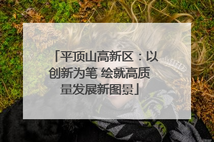 平顶山高新区：以创新为笔 绘就高质量发展新图景