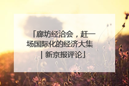 廊坊经洽会，赶一场国际化的经济大集｜新京报评论