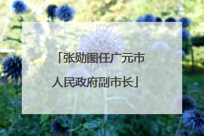 张勋图任广元市人民政府副市长