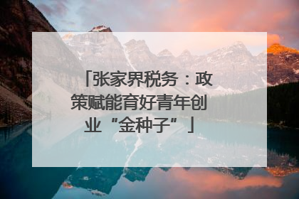 张家界税务：政策赋能育好青年创业“金种子”