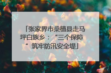 张家界市桑植县走马坪白族乡：“三个保障”筑牢防汛安全堤