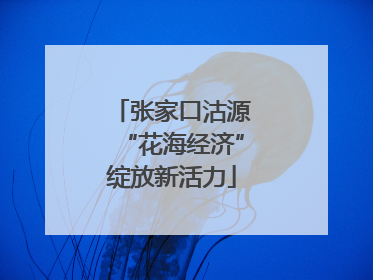 张家口沽源“花海经济”绽放新活力