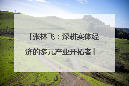 张林飞：深耕实体经济的多元产业开拓者