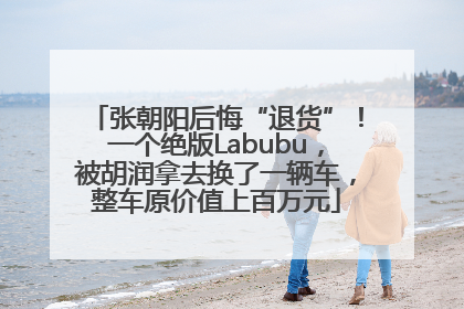 张朝阳后悔“退货”！一个绝版Labubu，被胡润拿去换了一辆车，整车原价值上百万元