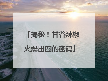 揭秘！甘谷辣椒火爆出圈的密码