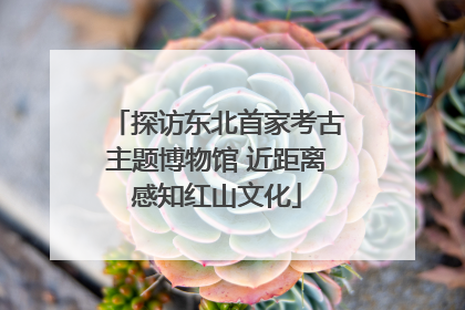 探访东北首家考古主题博物馆 近距离感知红山文化