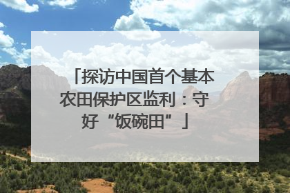 探访中国首个基本农田保护区监利：守好“饭碗田”