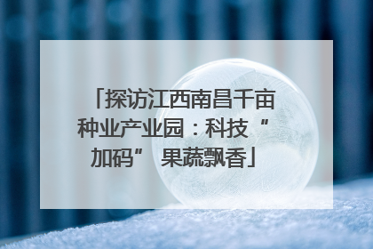 探访江西南昌千亩种业产业园：科技“加码” 果蔬飘香