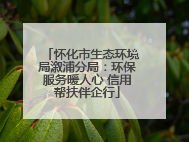 怀化市生态环境局溆浦分局：环保服务暖人心 信用帮扶伴企行