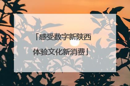 感受数字新陕西 体验文化新消费