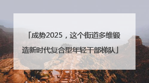 成势2025，这个街道多维锻造新时代复合型年轻干部梯队