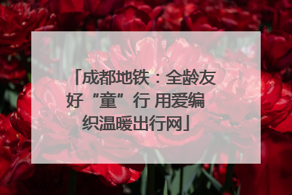 成都地铁：全龄友好“童”行 用爱编织温暖出行网