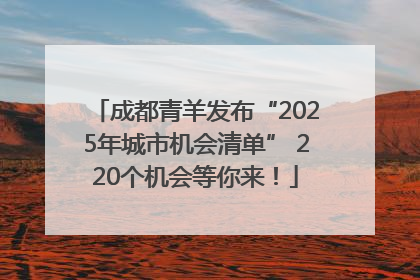 成都青羊发布“2025年城市机会清单” 220个机会等你来！