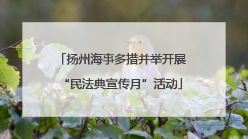 扬州海事多措并举开展“民法典宣传月”活动
