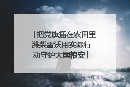 把党旗插在农田里 潍柴雷沃用实际行动守护大国粮安