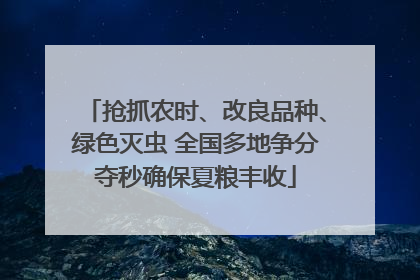 抢抓农时、改良品种、绿色灭虫 全国多地争分夺秒确保夏粮丰收