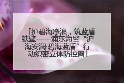 护碧海净浪，筑蓝盾铁壁——浦东海警“沪海安澜·碧海蓝盾”行动织密立体防控网