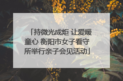 持微光成炬 让爱暖童心 衡阳市女子看守所举行亲子会见活动