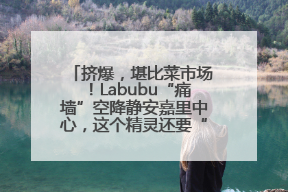 挤爆，堪比菜市场！Labubu“痛墙”空降静安嘉里中心，这个精灵还要“突袭”便利店？