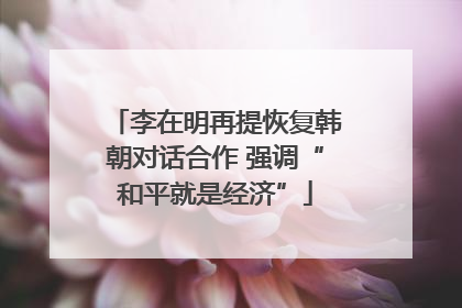 李在明再提恢复韩朝对话合作 强调“和平就是经济”
