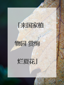 来国家植物园 赏绚烂夏花