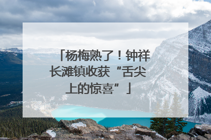 杨梅熟了！钟祥长滩镇收获“舌尖上的惊喜”