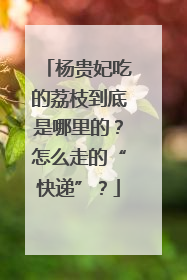杨贵妃吃的荔枝到底是哪里的？怎么走的“快递”？
