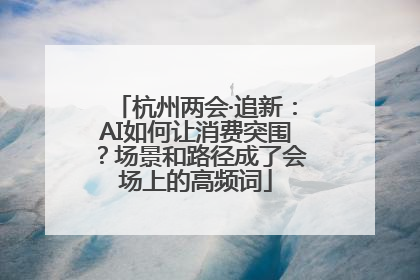 杭州两会·追新：AI如何让消费突围？场景和路径成了会场上的高频词