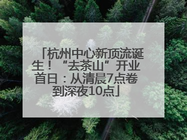 杭州中心新顶流诞生！“去茶山”开业首日：从清晨7点卷到深夜10点