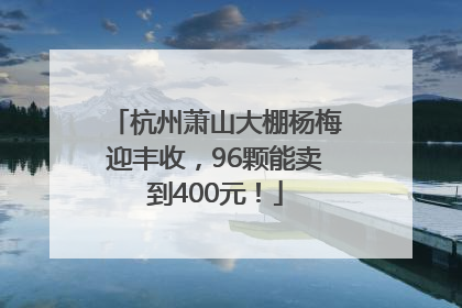 杭州萧山大棚杨梅迎丰收，96颗能卖到400元！