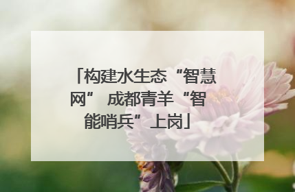 构建水生态“智慧网” 成都青羊“智能哨兵”上岗