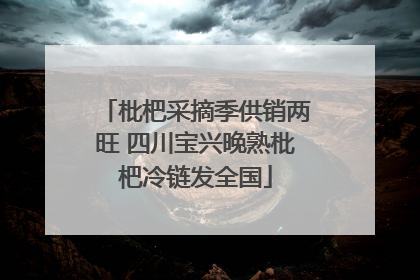 枇杷采摘季供销两旺 四川宝兴晚熟枇杷冷链发全国