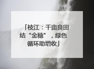 枝江：千亩良田结“金穗”，绿色循环助增收