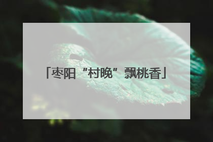 枣阳“村晚”飘桃香