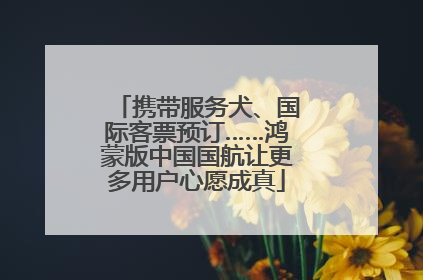携带服务犬、国际客票预订……鸿蒙版中国国航让更多用户心愿成真