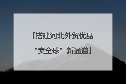 搭建河北外贸优品“卖全球”新通道