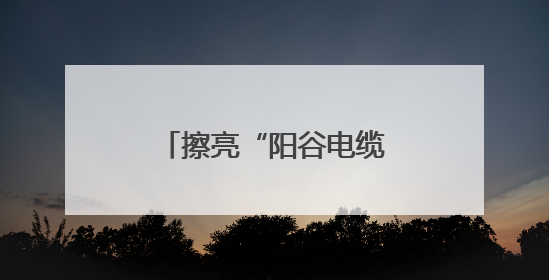 擦亮“阳谷电缆”品牌！市场监管总局到阳谷开展电线电缆专题调研