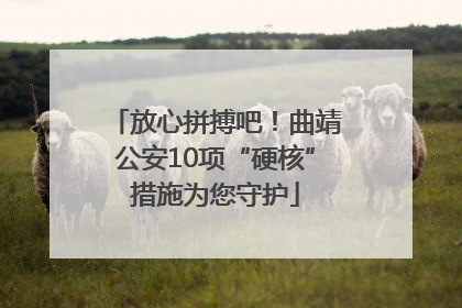放心拼搏吧！曲靖公安10项“硬核”措施为您守护