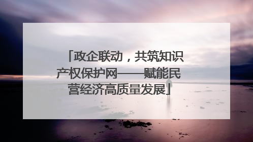 政企联动，共筑知识产权保护网——赋能民营经济高质量发展