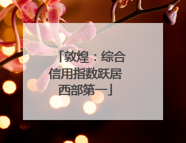 敦煌：综合信用指数跃居西部第一