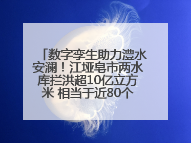 数字孪生助力澧水安澜！江垭皂市两水库拦洪超10亿立方米 相当于近80个西湖水量