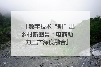 数字技术“耕”出乡村新图景：电商助力三产深度融合