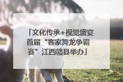 文化传承+视觉盛宴 首届“客家舞龙争霸赛”江西赣县举办