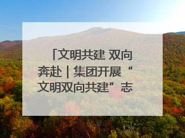 文明共建 双向奔赴｜集团开展“文明双向共建”志愿服务活动